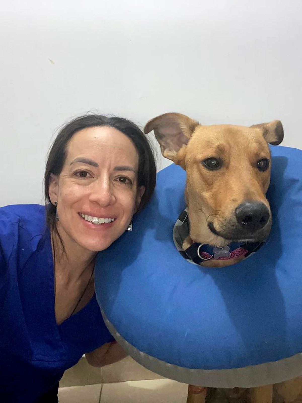 La Dra. Gina Rumbos con un gato